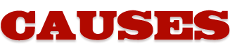 Causes